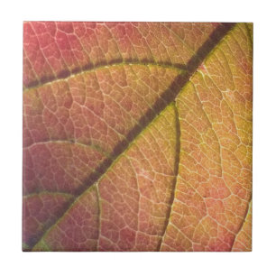 Gelb- und Rothalbstleaf Fliese