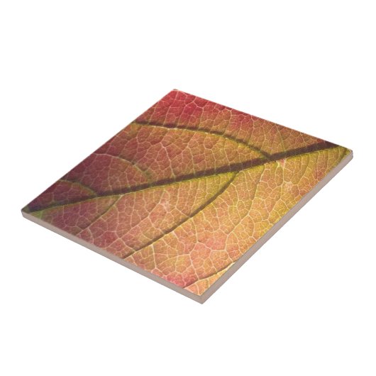 Gelb- und Rothalbstleaf Fliese (Seite)