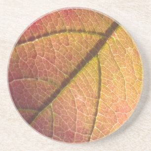 Gelb- und Rothalbstleaf Getränkeuntersetzer