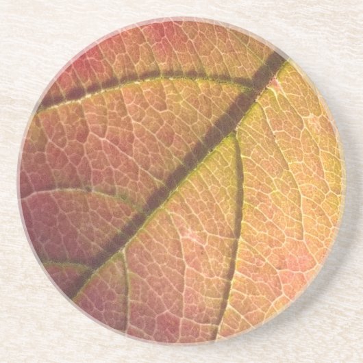 Gelb- und Rothalbstleaf Getränkeuntersetzer (Vorne)