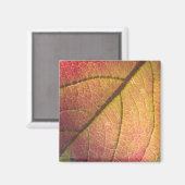 Gelb- und Rothalbstleaf Magnet (Vorderseite/Rückseite)