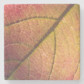 Gelb- und Rothalbstleaf Steinuntersetzer (Vorderseite)