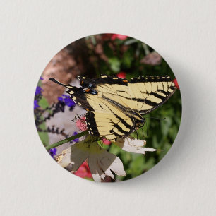 Gelb und Schwarz-Fantail-Schmetterling Button