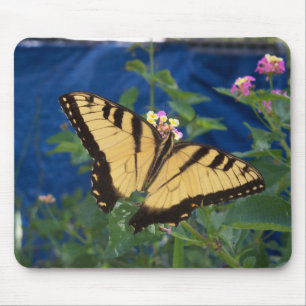Gelb und schwarz Frack Schmetterling Mousepad
