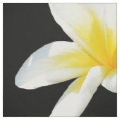 gelb und schwarz-Frangipani-Muster, Stoff (Muster)