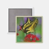 Gelb und Schwarz Magnet (Vorderseite/Rückseite)
