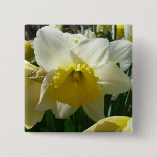 Gelb und Weiß Frühlingsblüte Button