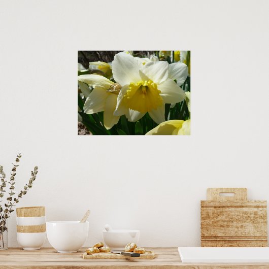 Gelb und Weiß Frühlingsblüte Poster (Küche)