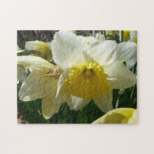Gelb und Weiß Frühlingsblüte Puzzle (Horizontal)