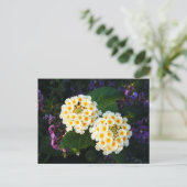 Gelb und Weiß Lantana Postkarte (Stehend Vorderseite)