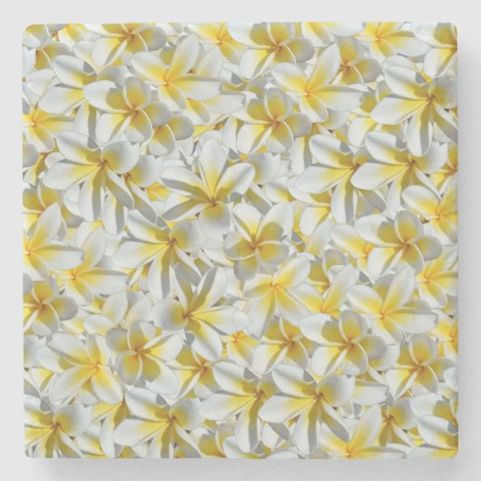Gelb- und Weißfrangipani-Cluster, Steinuntersetzer (Vorderseite)
