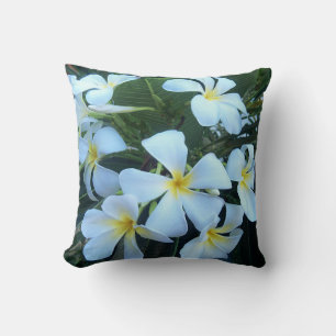 gelb, weiß, Frangipani, Blume, Natur, Sommer, Kissen