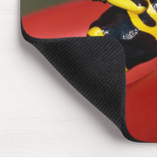 Gelbbandgiftfrosch Mousepad (Ecke)