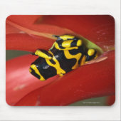 Gelbbandgiftfrosch Mousepad (Vorne)