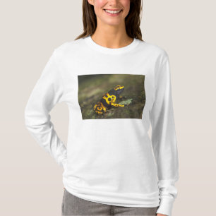 Gelbbandiger Pfeilgiftfrosch Dendrobates T-Shirt