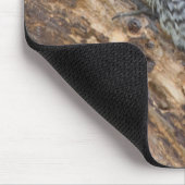 Gelbbauchspecht Männchen Mousepad (Ecke)