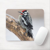 Gelbbauchspecht Männchen Mousepad (Mit Mouse)