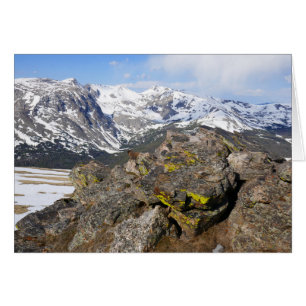 Gelbbaudiges Murmeltier beim Blick auf die Rocky M