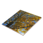 Gelbbaum Fliese (Seite)