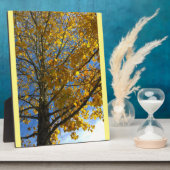 Gelbbaum Fotoplatte (Seite)