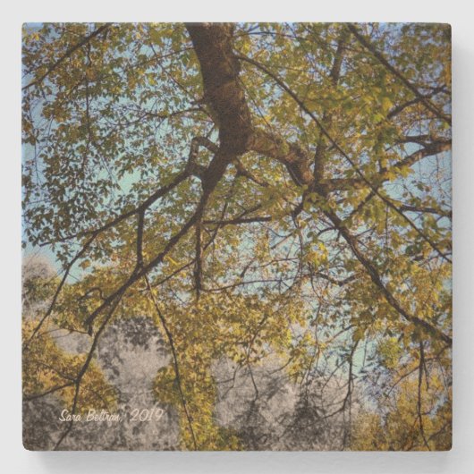 Gelbbaum im Herbst Steinuntersetzer (Vorderseite)