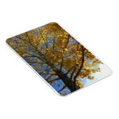 Gelbbaum Magnet (Rechte Seite)