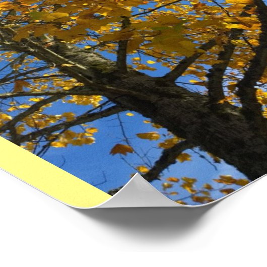Gelbbaum Poster (Ecke)