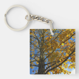 Gelbbaum Schlüsselanhänger