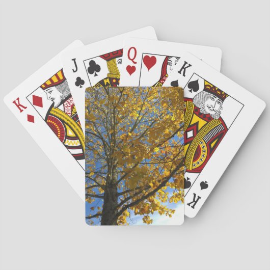 Gelbbaum Spielkarten (Rückseite)