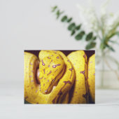 Gelbbaumpython, Baby Postkarte (Stehend Vorderseite)