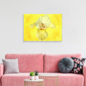 Gelbbbart-Iris-Blossom Leinwanddruck (Insitu (Wohnzimmer))