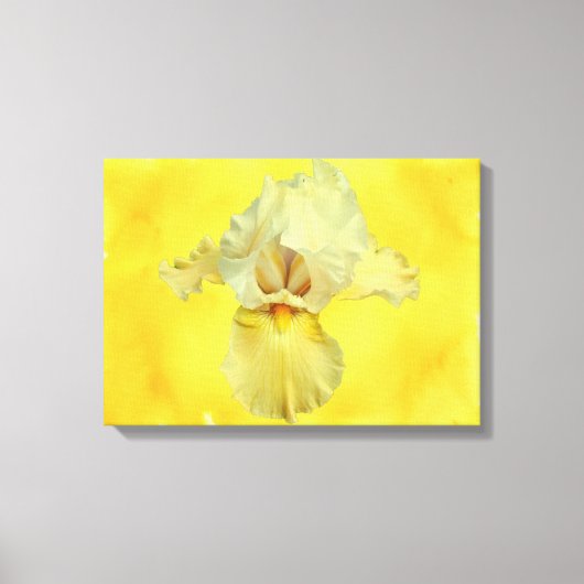 Gelbbbart-Iris-Blossom Leinwanddruck (Vorderseite)