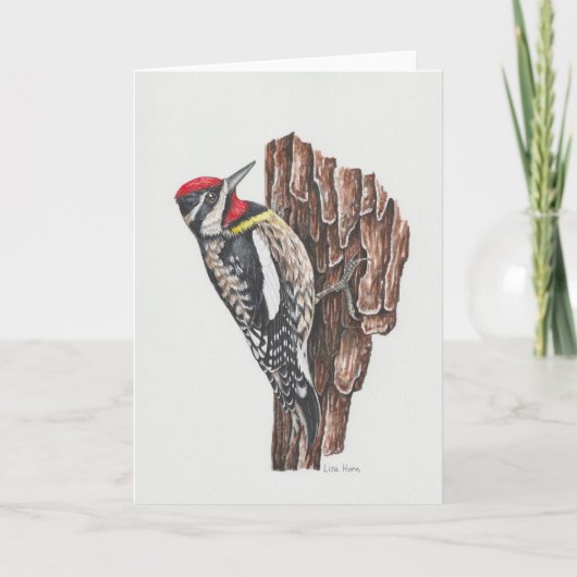Gelbbbauchige Sapsucker Art Card Dankeskarte (Vorderseite)