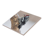 Gelbbbauchmännchen Fliese (Seite)