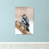 Gelbbbauchmännchen Leinwanddruck (Insitu (Holzboden))