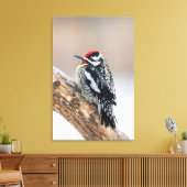 Gelbbbauchmännchen Leinwanddruck (Insitu (Wohnzimmer))