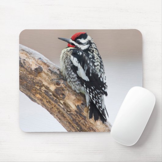 Gelbbbauchmännchen Mousepad (Mit Mouse)