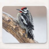 Gelbbbauchmännchen Mousepad (Vorne)