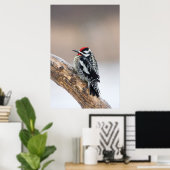 Gelbbbauchmännchen Poster (Heimbüro)