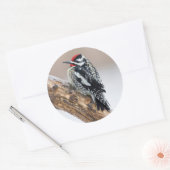 Gelbbbauchmännchen Runder Aufkleber (Umschlag)