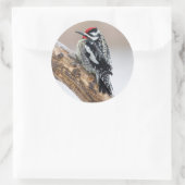 Gelbbbauchmännchen Runder Aufkleber (Tasche)