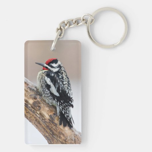 Gelbbbauchmännchen Schlüsselanhänger (Rückseite)