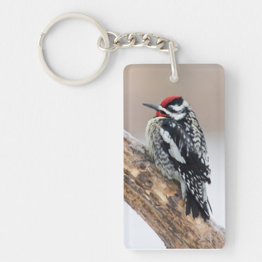 Gelbbbauchmännchen Schlüsselanhänger (Vorderseite)