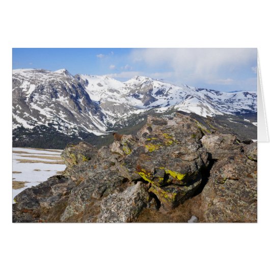 Gelbbbellische Marmot-Gazing in den Rocky Mountain (Vorderseite (Horizontal))