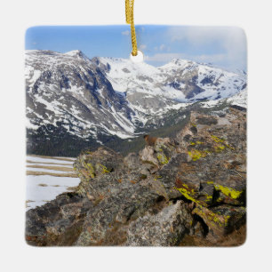 Gelbbbellische Marmot-Gazing in den Rocky Mountain Keramikornament