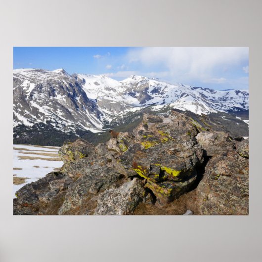 Gelbbbellische Marmot-Gazing in den Rocky Mountain Poster (Vorne)