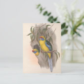 Gelbbbellischer Paraket Postkarte (Stehend Vorderseite)