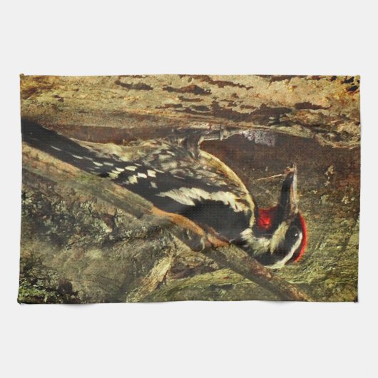 Gelbbblasser Sapsucker Küchentuch (Horizontal)