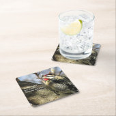 Gelbbellisches Sapsucker Meditation Untersetzer Se (Vor Ort)