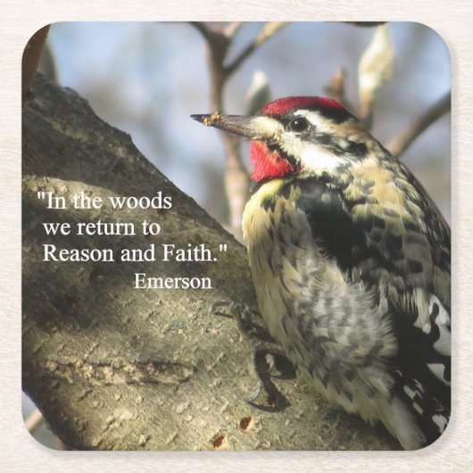 Gelbbellisches Sapsucker Meditation Untersetzer Se (Vorderseite)